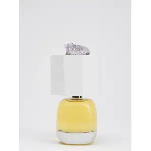Filippo Sorcinelli LUX VISIONARIA