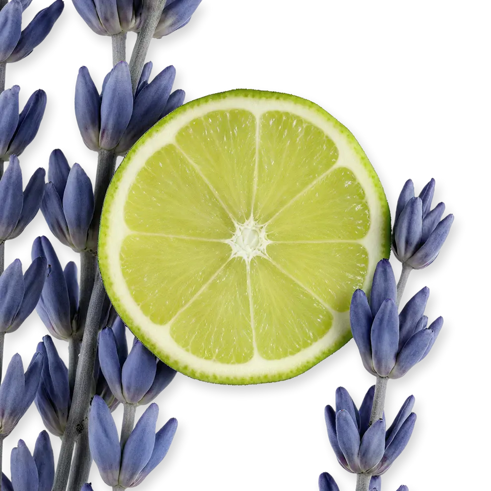 Parfums de Marly Percival - Görsel 4